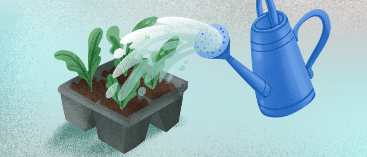 Watering your herb garden