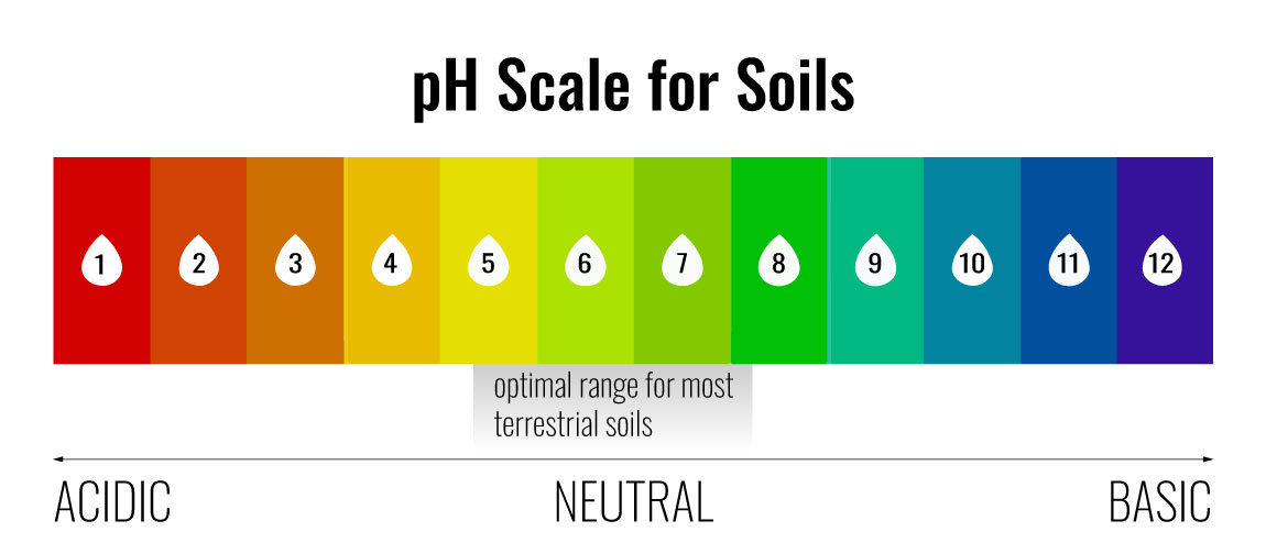 pH scale for plant soils