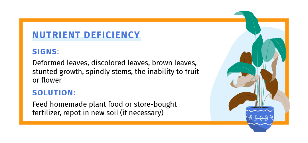 Signs and solution to plant nutrient deficiency