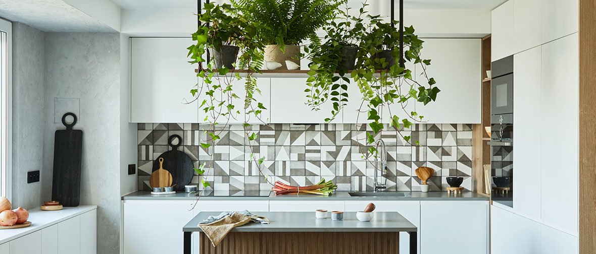 Houseplants in the kitchen