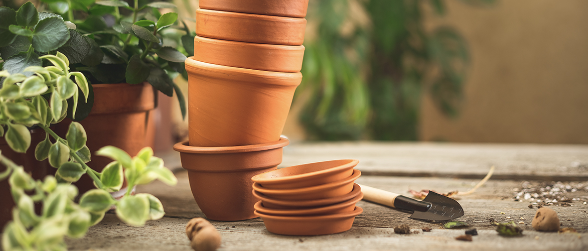 Terracota pots for plants