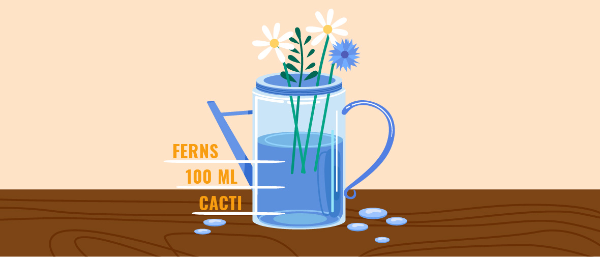 How much water to use for plants