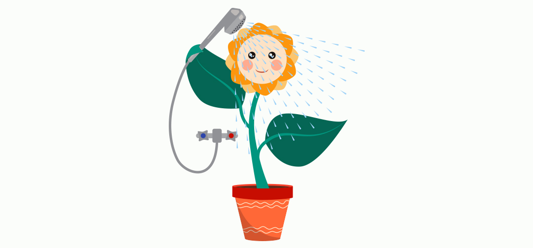 How to clean plant leaves giving them a shower