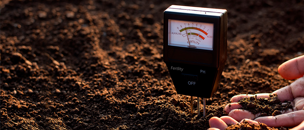 How to use a soil moisture meter