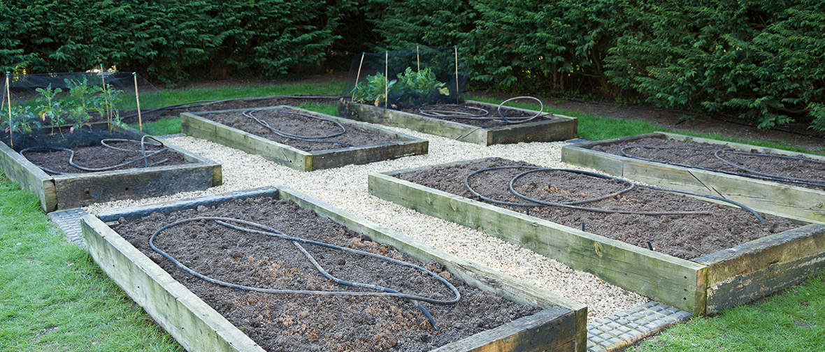 Planning garden beds