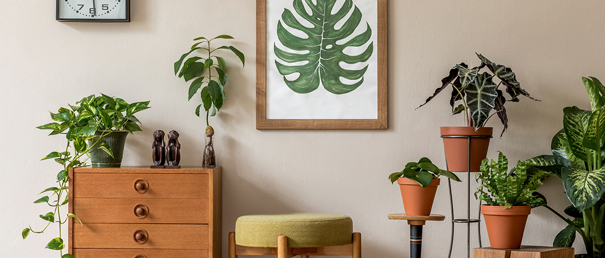 Indoor Plant Arrangement: How to Arrange Plants in the Living Room ...
