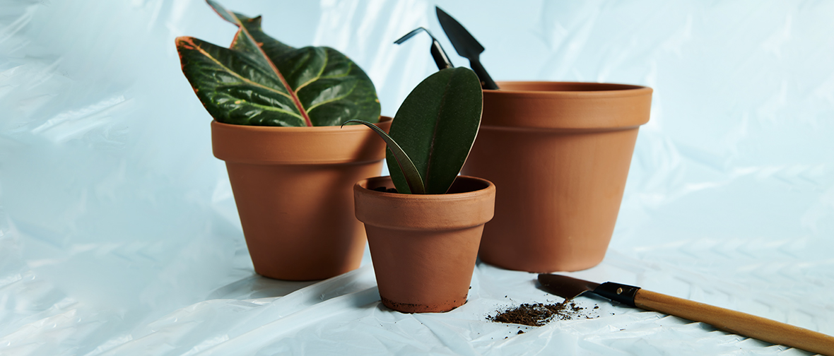 The Difference Between Terracotta, Ceramic, and Plastic Pots, and Why It  Matters to Your Plants